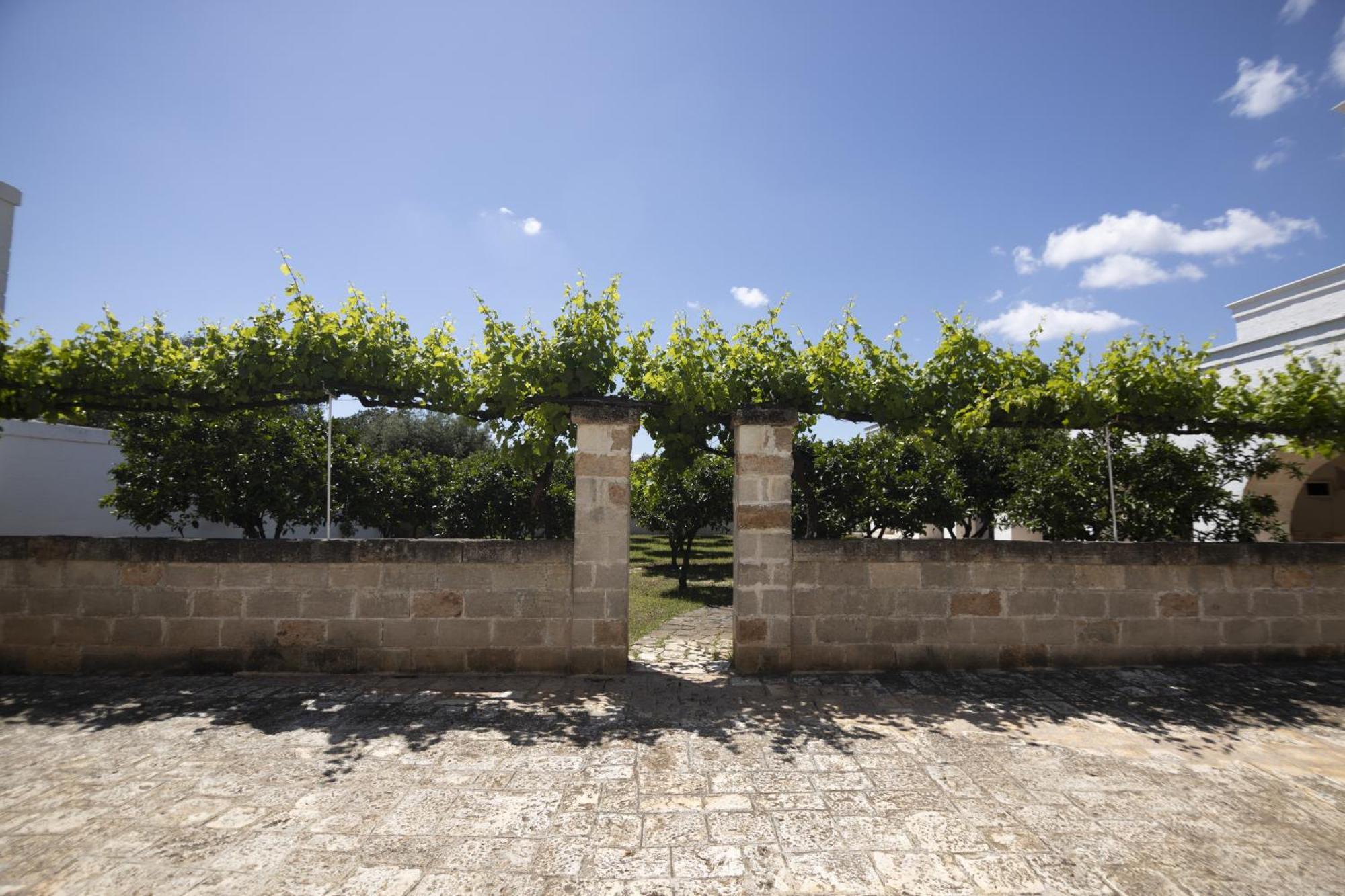 Masseria Palmo Francavilla Fontana Exterior photo